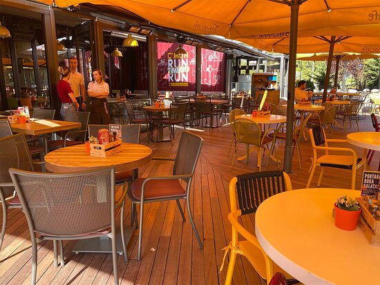 Şehrin Gizli Kalan Kitap Kafelerine Yolculuk